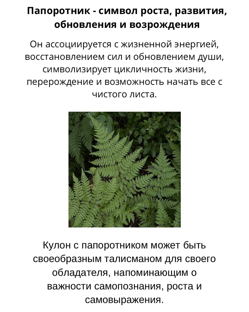 Подвеска папоротник на цепочке — Основное исполнение