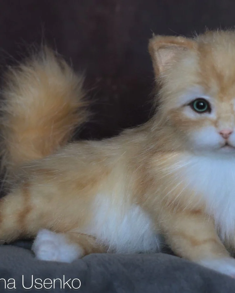 Реалистичный котенок, рыжий — Рыжий