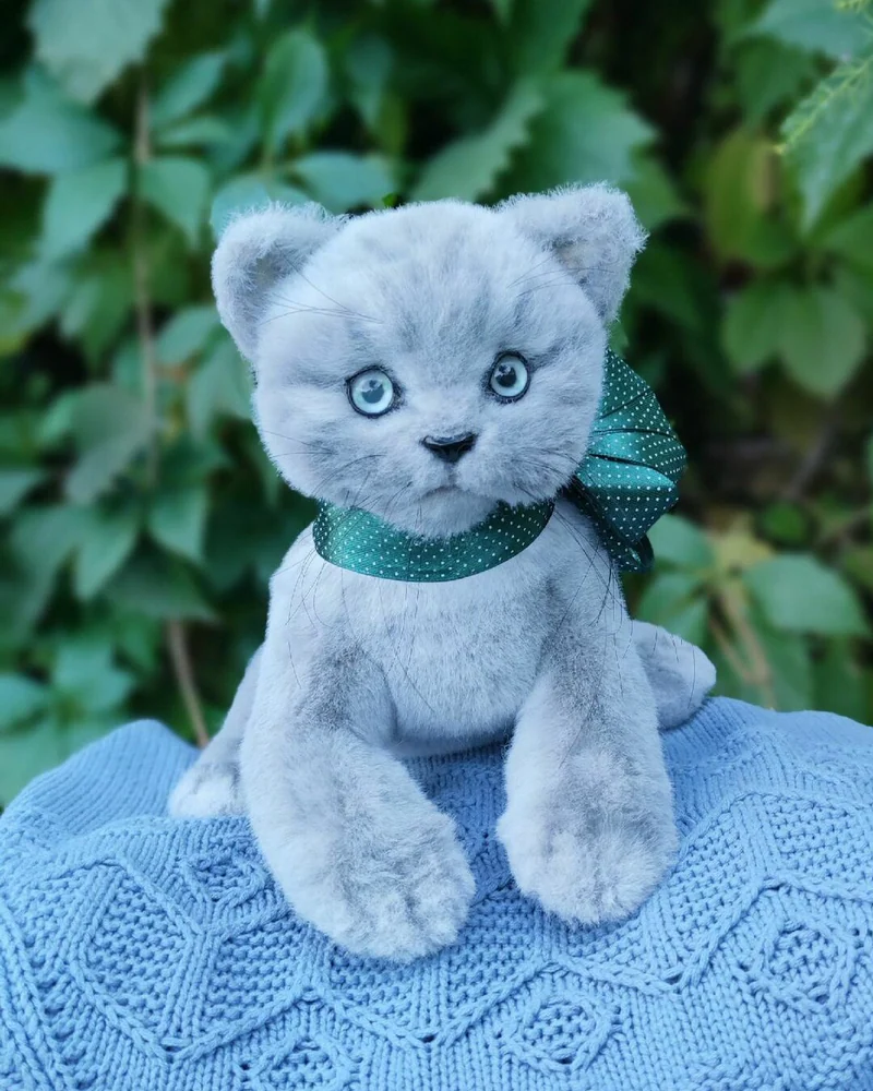 Котёнок Барон