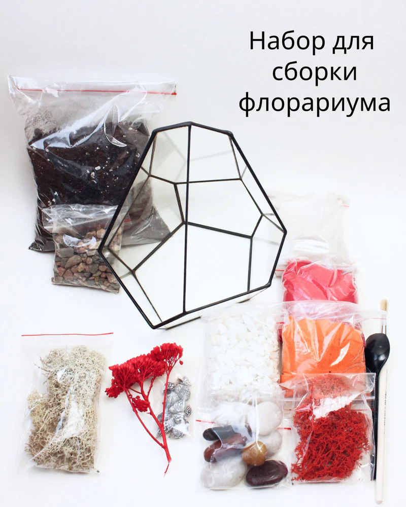 Флорариум, Набор для самостоятельной сборки флорариума Планта — Основной