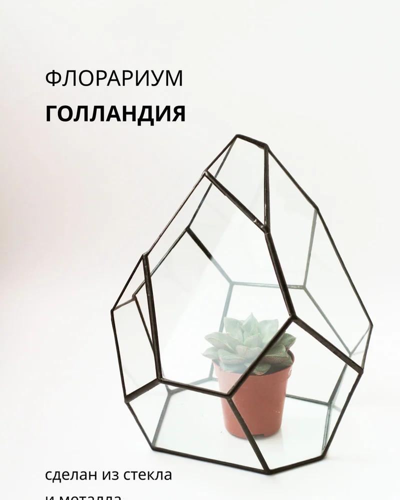 Флорариум для растений — Геометрическая ваза для флорариума — Флорариум — Основной