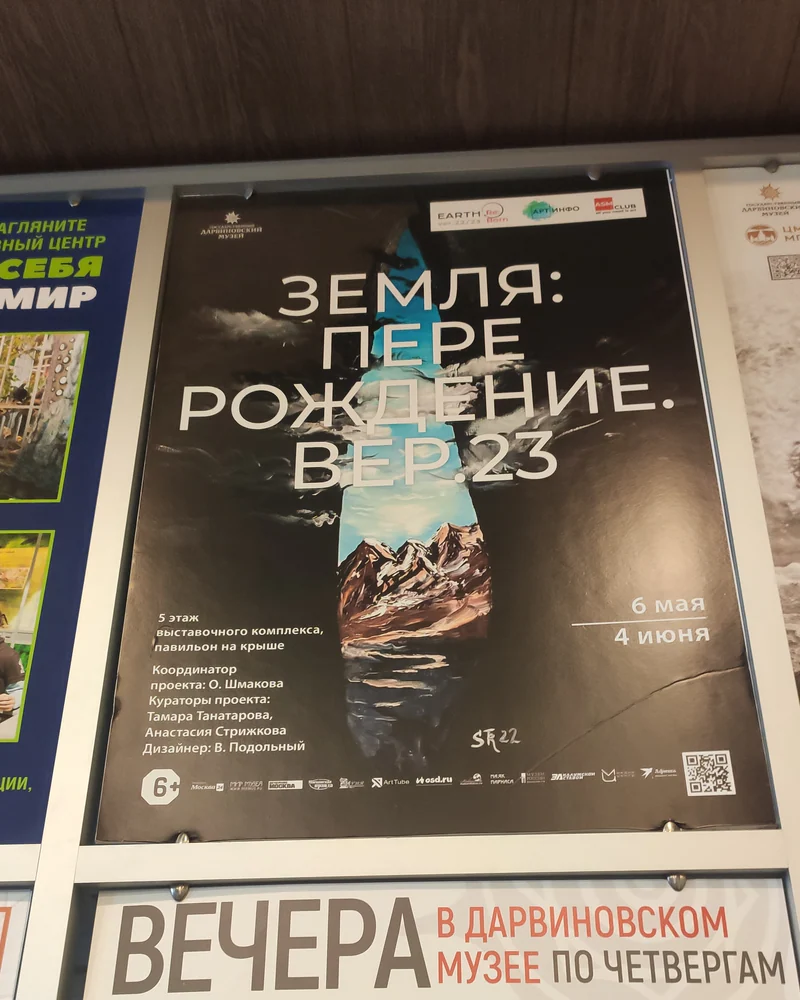 Тихоходка — Оригинал 2