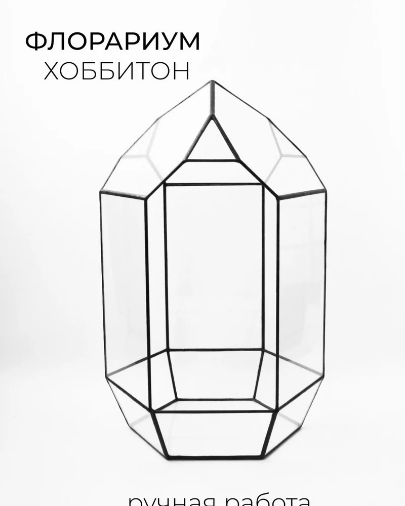 Геометрическая ваза для флорариума — Флорариум для растений — Основной