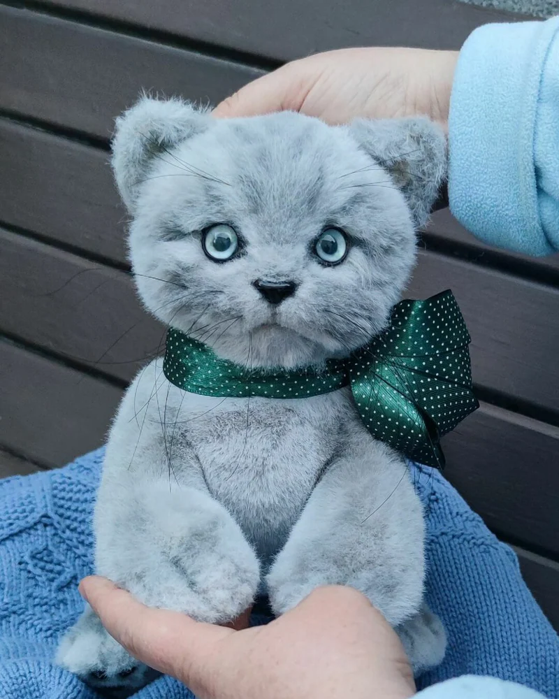 Котёнок Барон