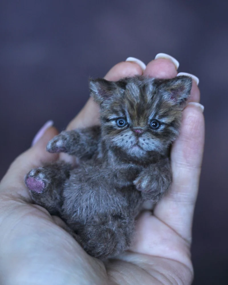 Котенок тедди 9,5 см, серый — Серый