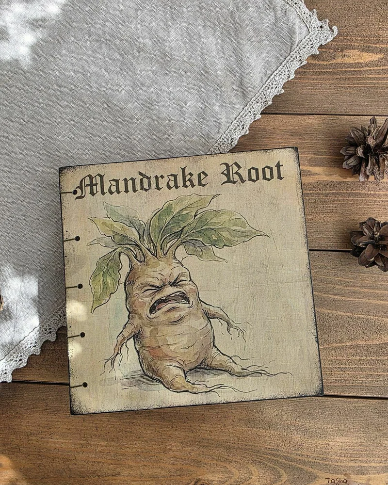 Деревянный блокнот 15,5×15,5 см с коптским переплётом — Mandrake Root