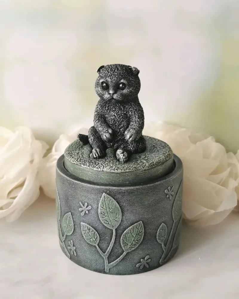 Шкатулка с шотландским вислоухим котиком