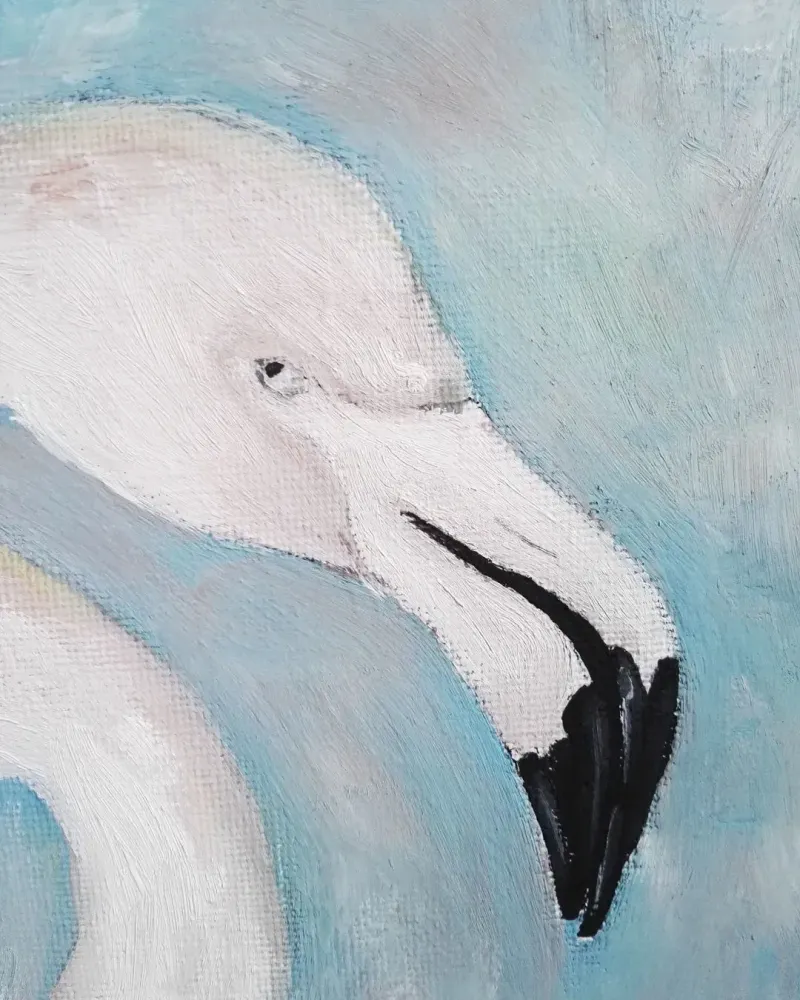 Фламинго. Картина маслом 20×20 см — 20×20 см