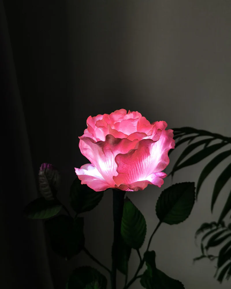 Ночник «Роза Pink», розовый