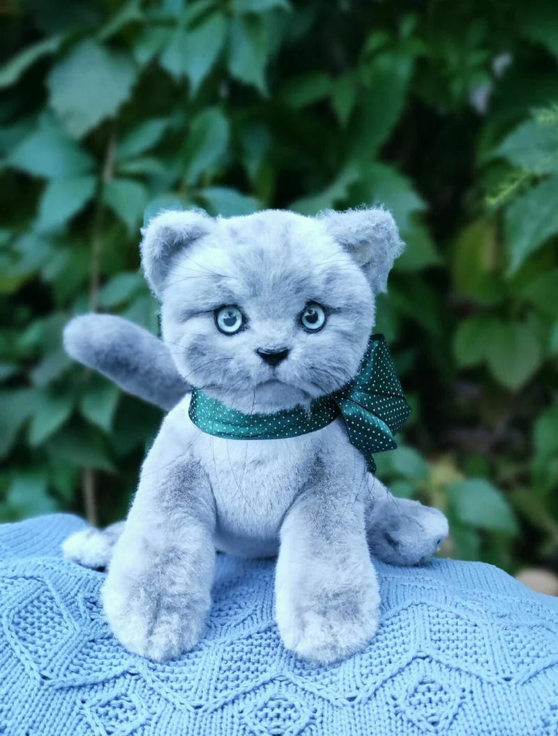 Котёнок Барон