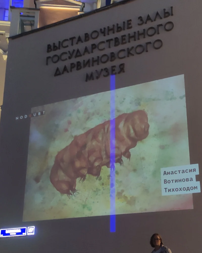 Тихоходка — Оригинал 1