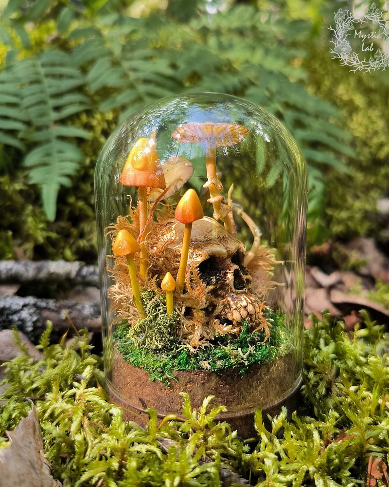 Мини клош ЧЕРЕП