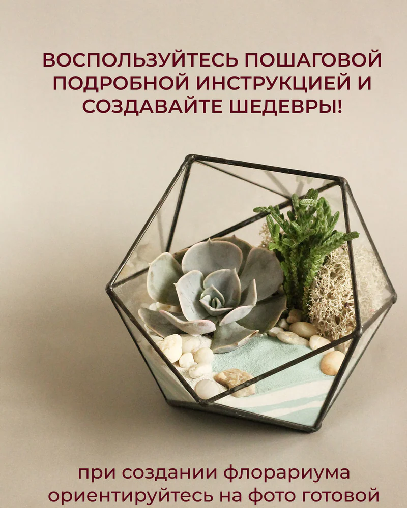 Флорариум, Набор для самостоятельной сборки флорариума, Озеро — Основной
