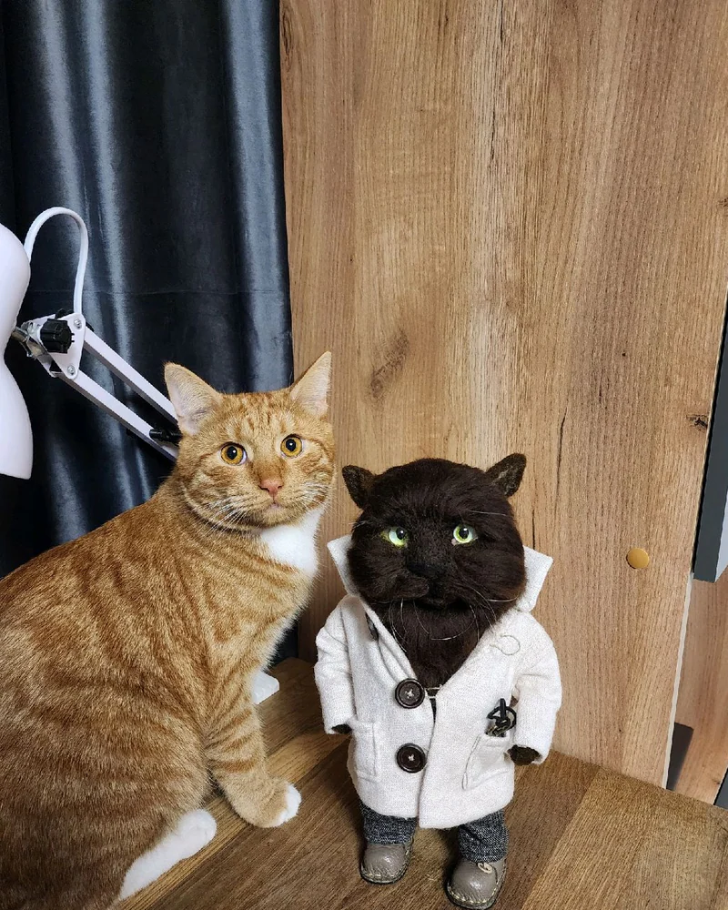 Кот Шоколад. Войлочная игрушка