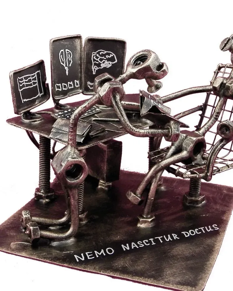 Nemo nascitur doctus - никто не рождается ученым — Основной