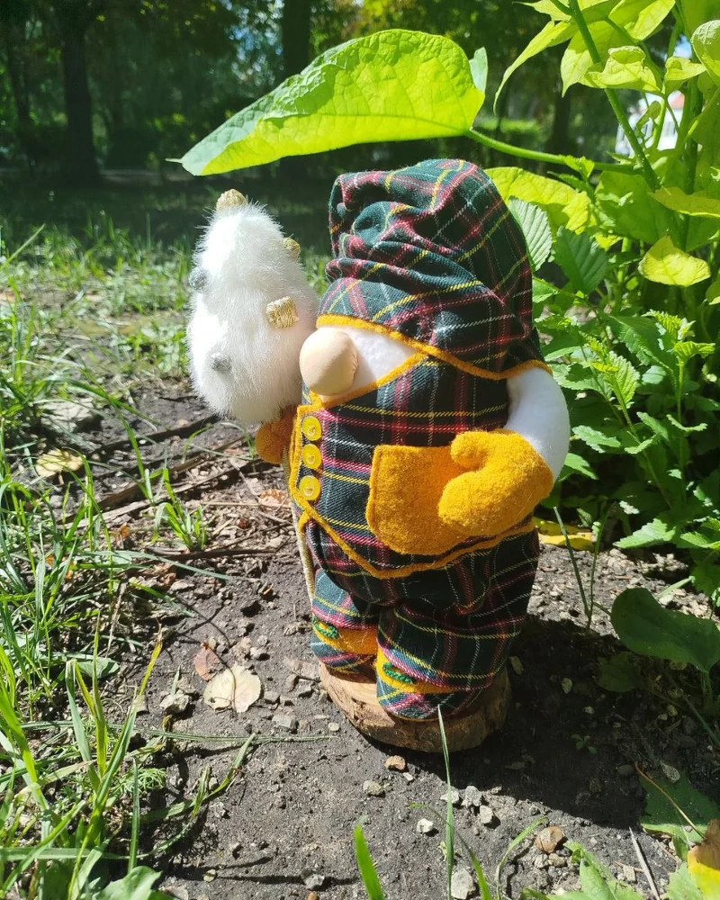 Скандинавский гном Олаф