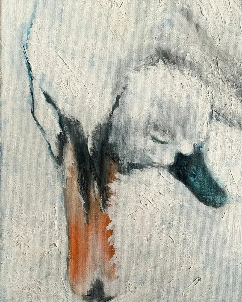 Лебеди мама и малыш. Картина маслом 20×30 см — 20×30 см