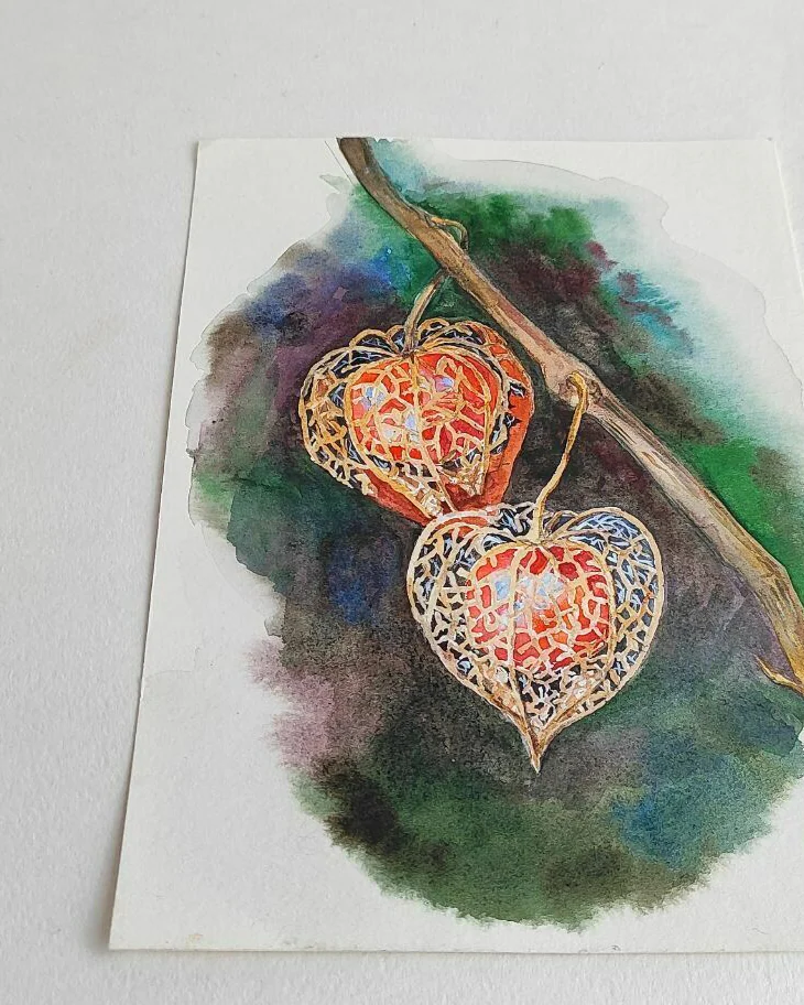 Картина с физалисом акварель 14,9 × 21 см