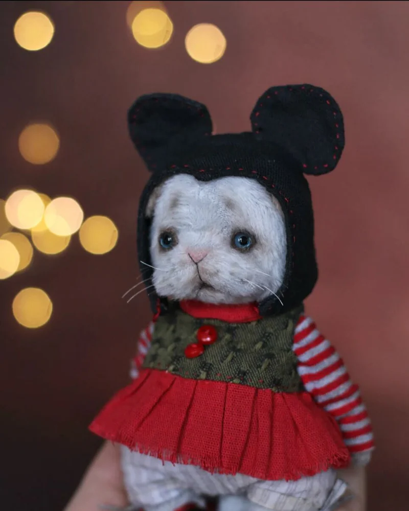 Котенок тедди — Основной