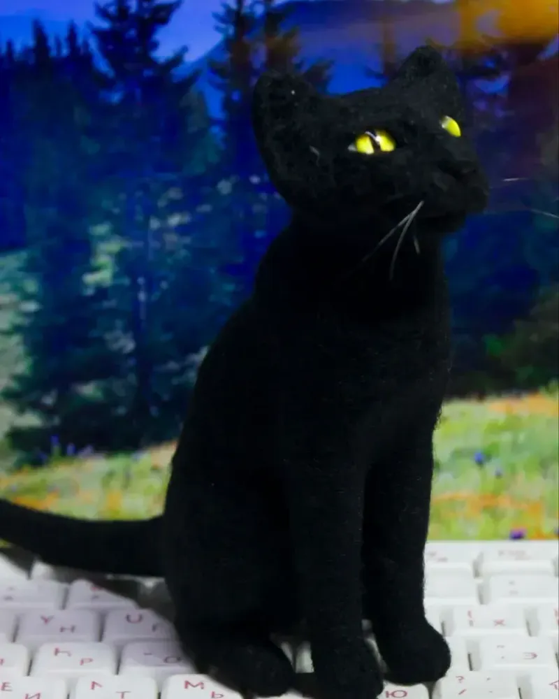 Чёрная кошка, игрушка из шерсти — Основной