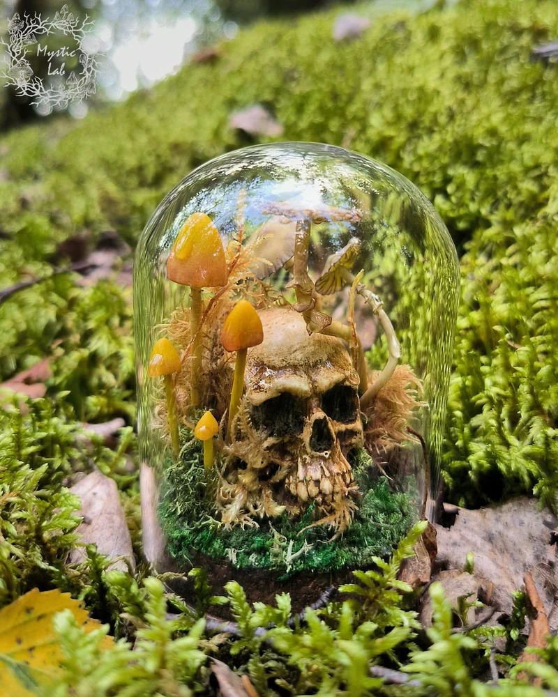 Мини клош ЧЕРЕП