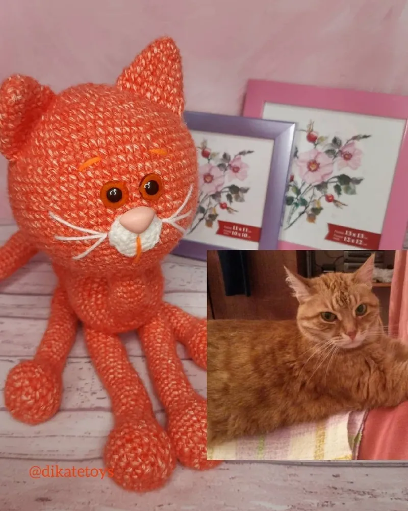 Рыжий кот