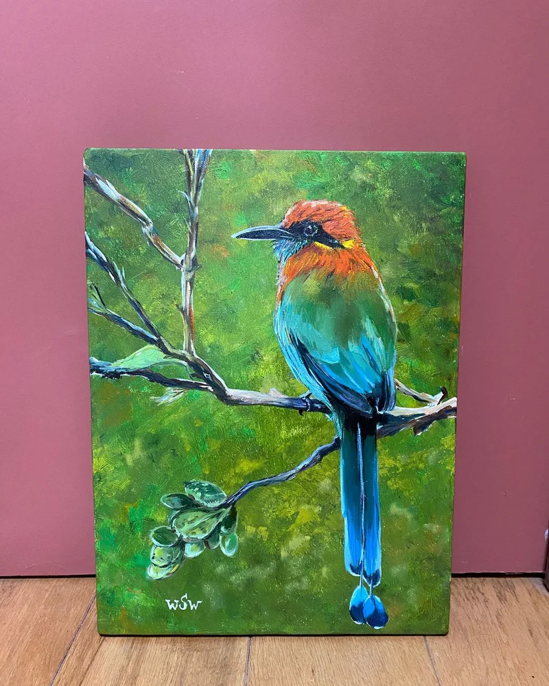 Картина маслом Экзотические птицы. Motmot. 30×40 см — Оригинал