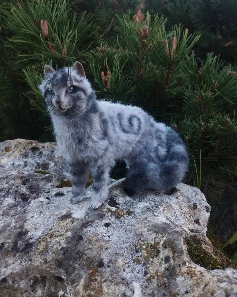 кот голубой шаман Перо Сойки