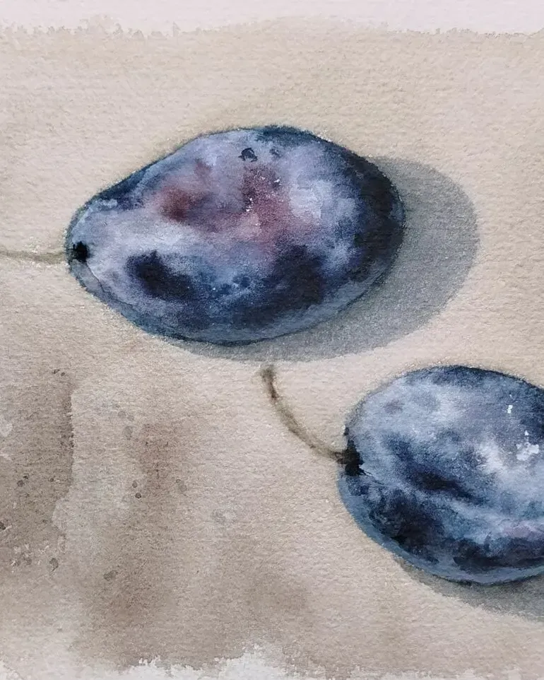 Сливы. Натюрморт акварелью — 15×21 см