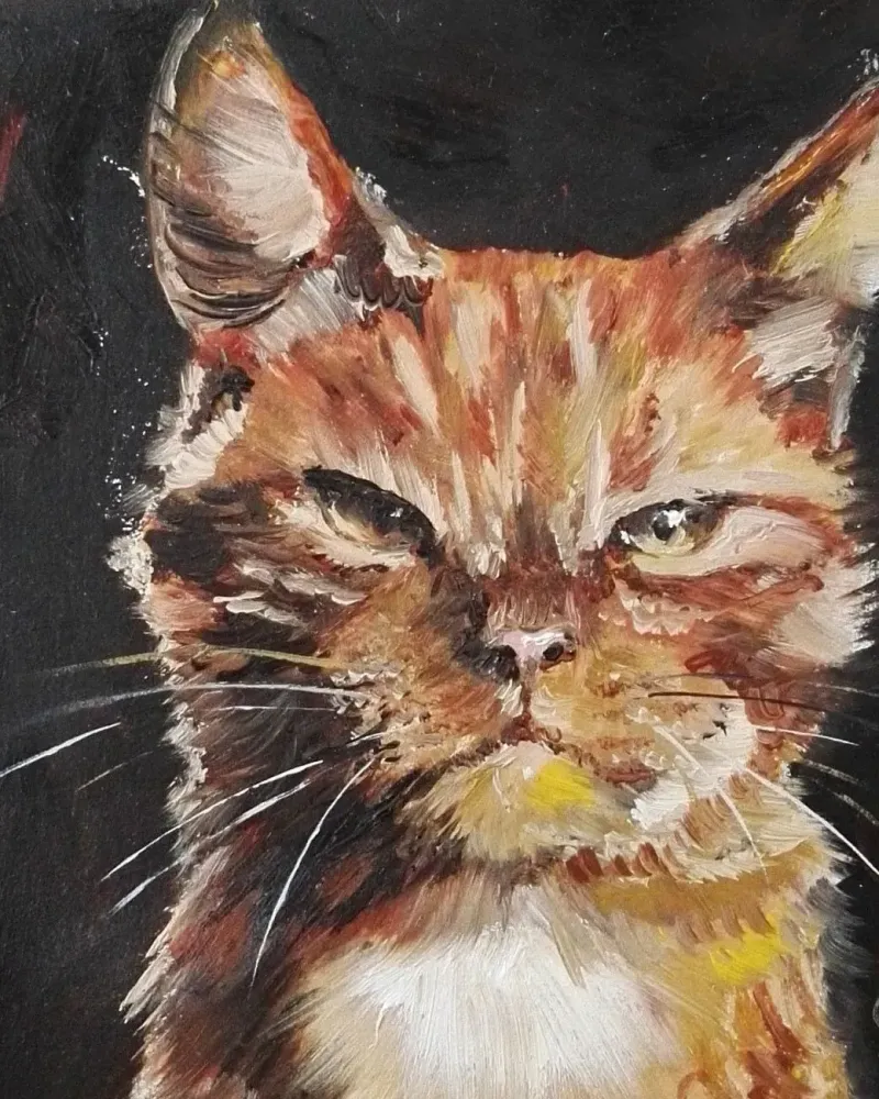 Рыжий кот. Картина маслом 15×15 см — 15×15 см