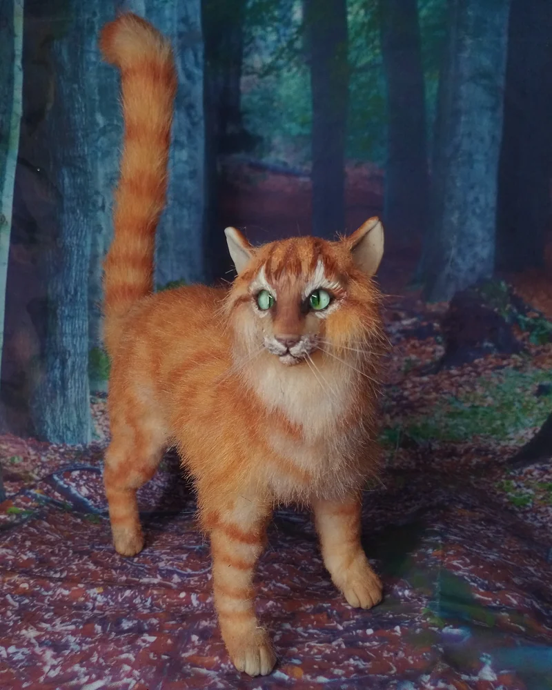 рыжий кот воин Огненная Звезда