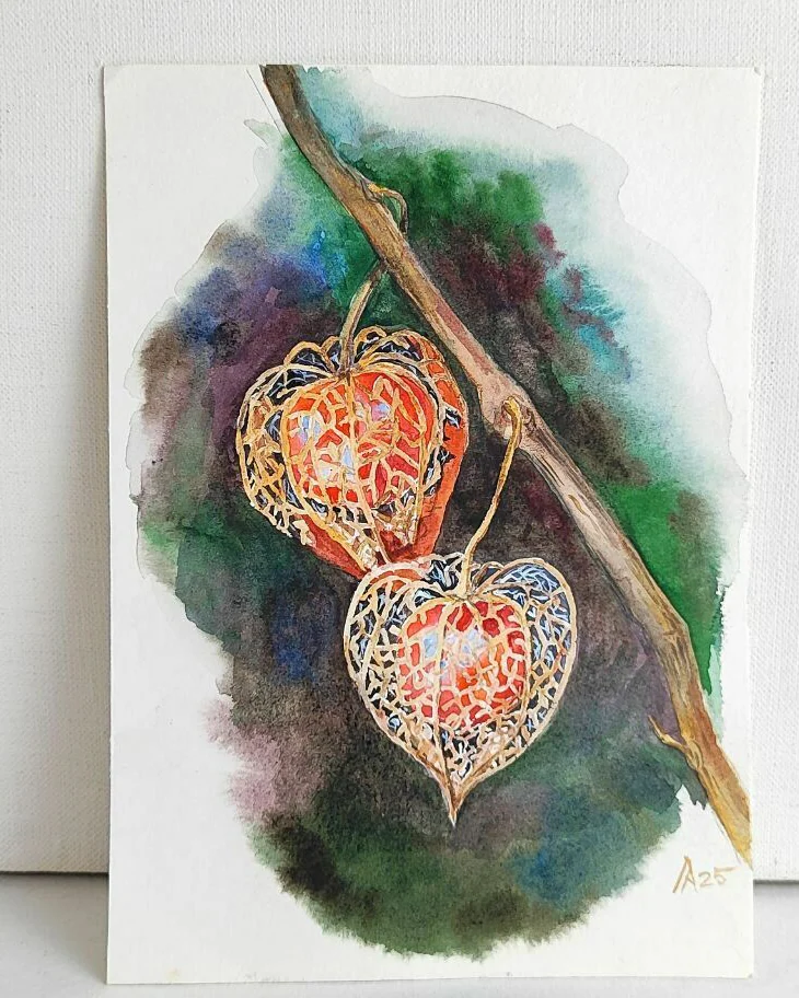 Картина с физалисом акварель 14,9 × 21 см