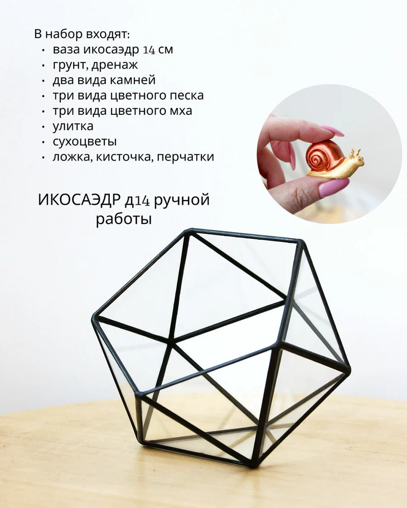 Флорариум, Набор для самостоятельной сборки флорариума с улиткой — Основной