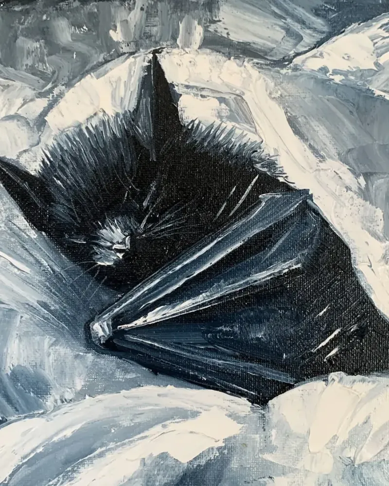 Летучая мышь. Картина маслом 20×20 см — 20×20 см