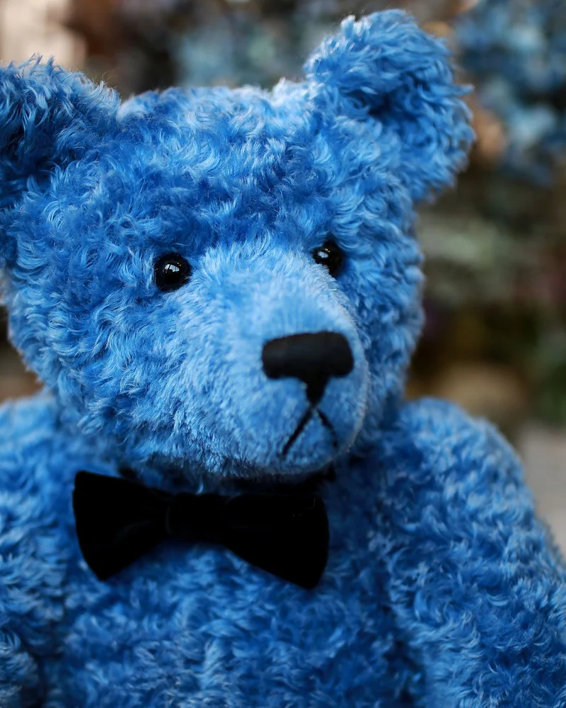 Bear — синий