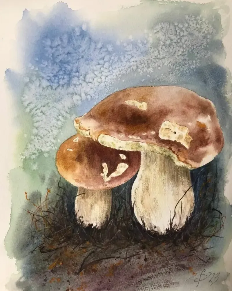 Грибы. Картина акварелью в раме — 26×35 см, в раме