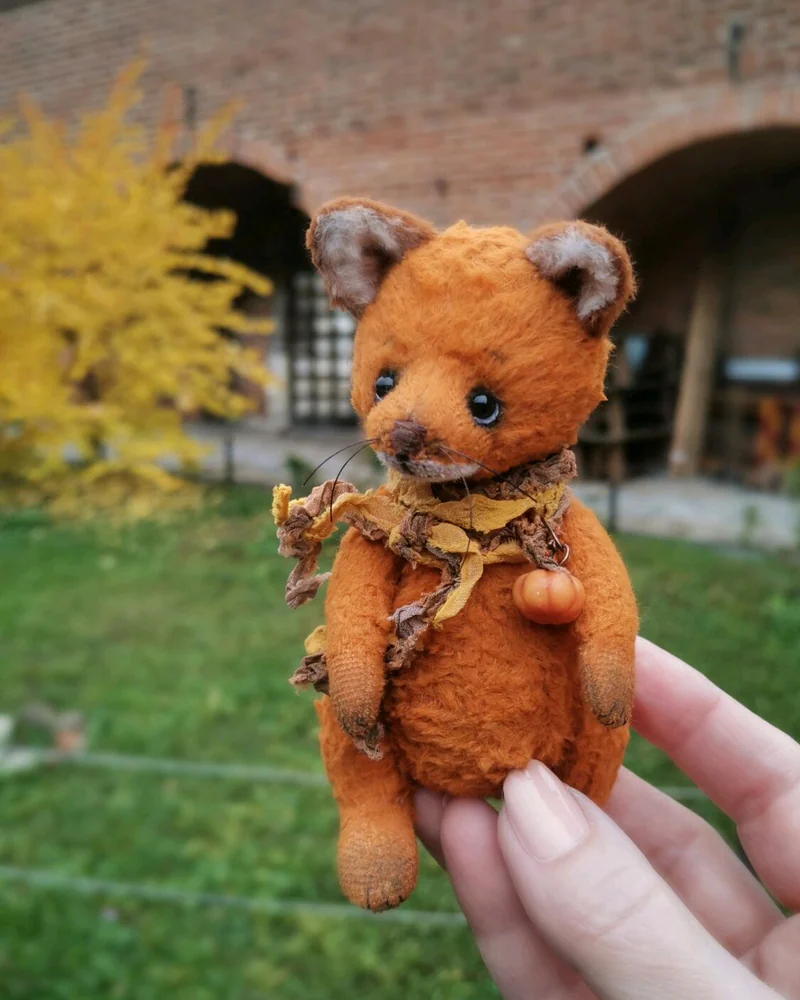Осенний лис. Тыковкин. Лисенок Тедди