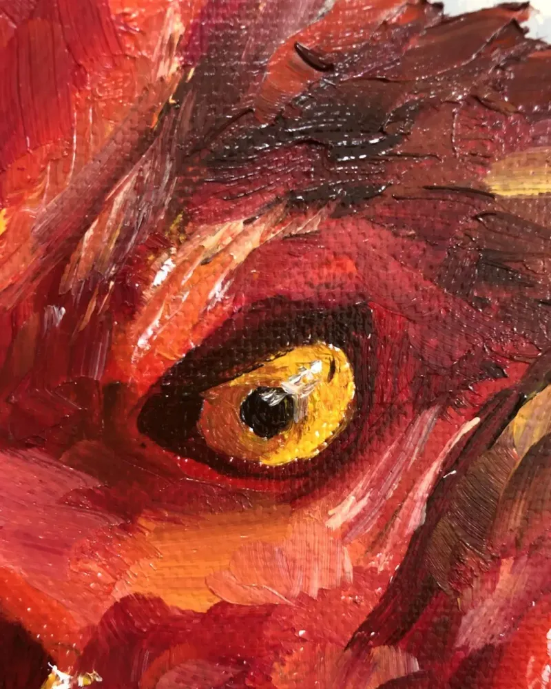 Петух. Картина маслом 20×20 см — 20×20 см