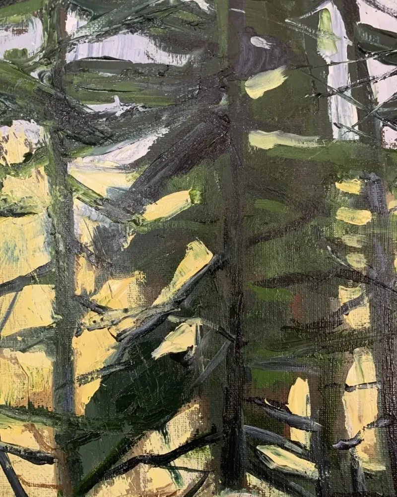 Летний пейзаж. Картина маслом 40×60 см — 40×60 см