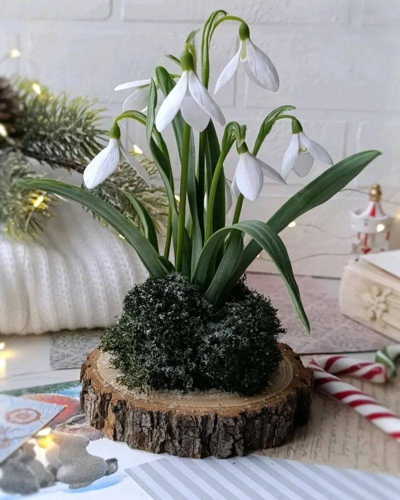 Подснежники из полимерной глины холодный фарфор ручной работы — Подснежники на пне