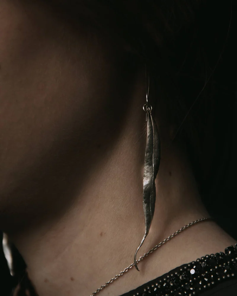 Сережки Ива — Сережки Ива