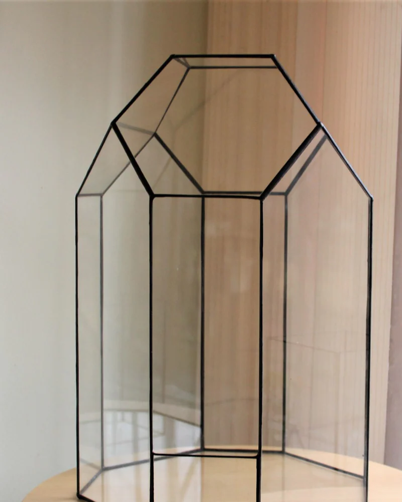 Тепличка для орхидариума — Большой флорариум — Основной