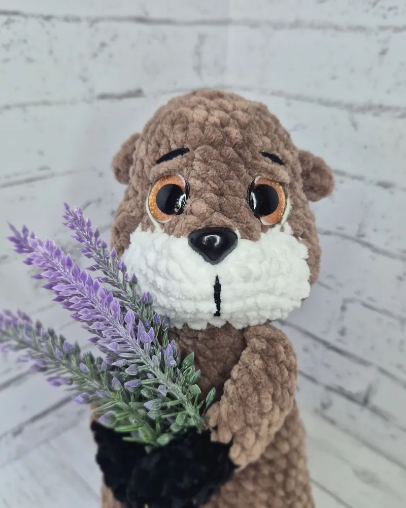 Выдрёныш — коричневый с белым