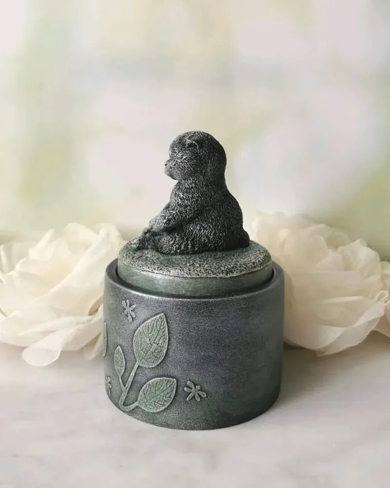 Шкатулка с шотландским вислоухим котиком