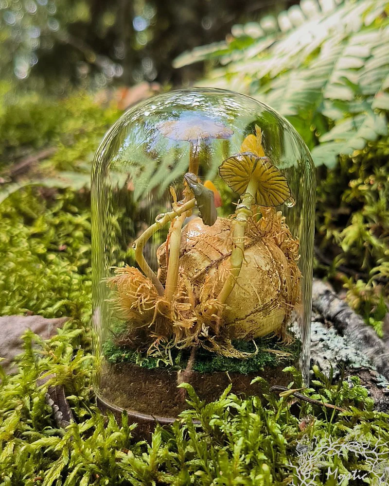 Мини клош ЧЕРЕП