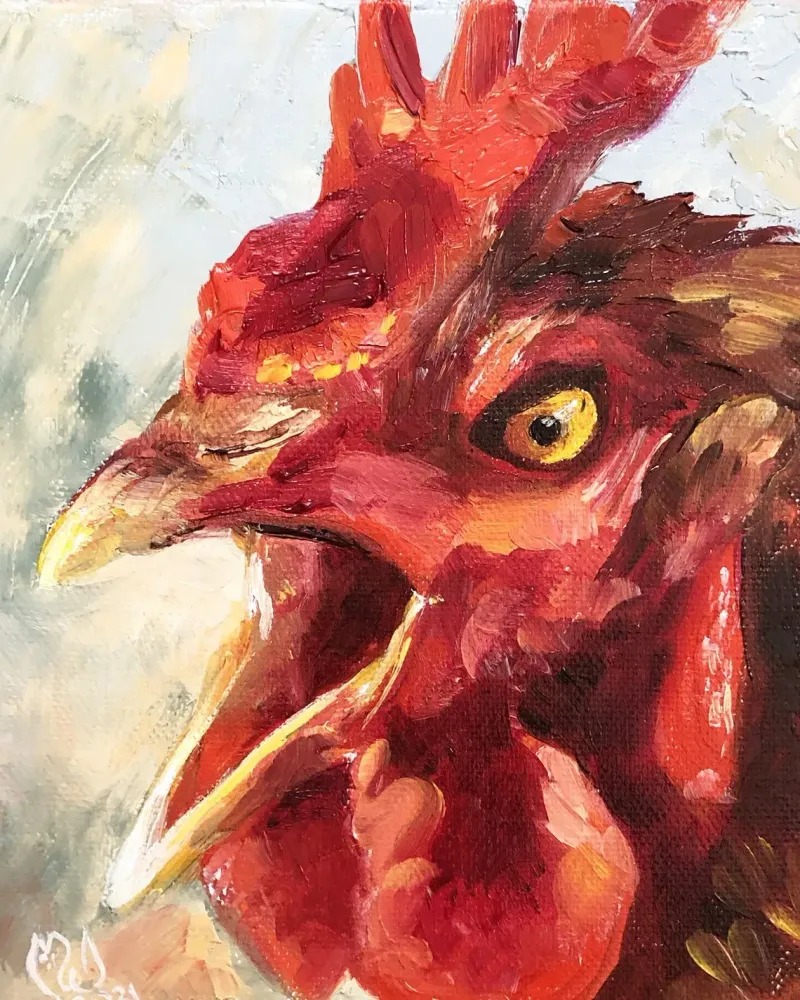 Петух. Картина маслом 20×20 см — 20×20 см