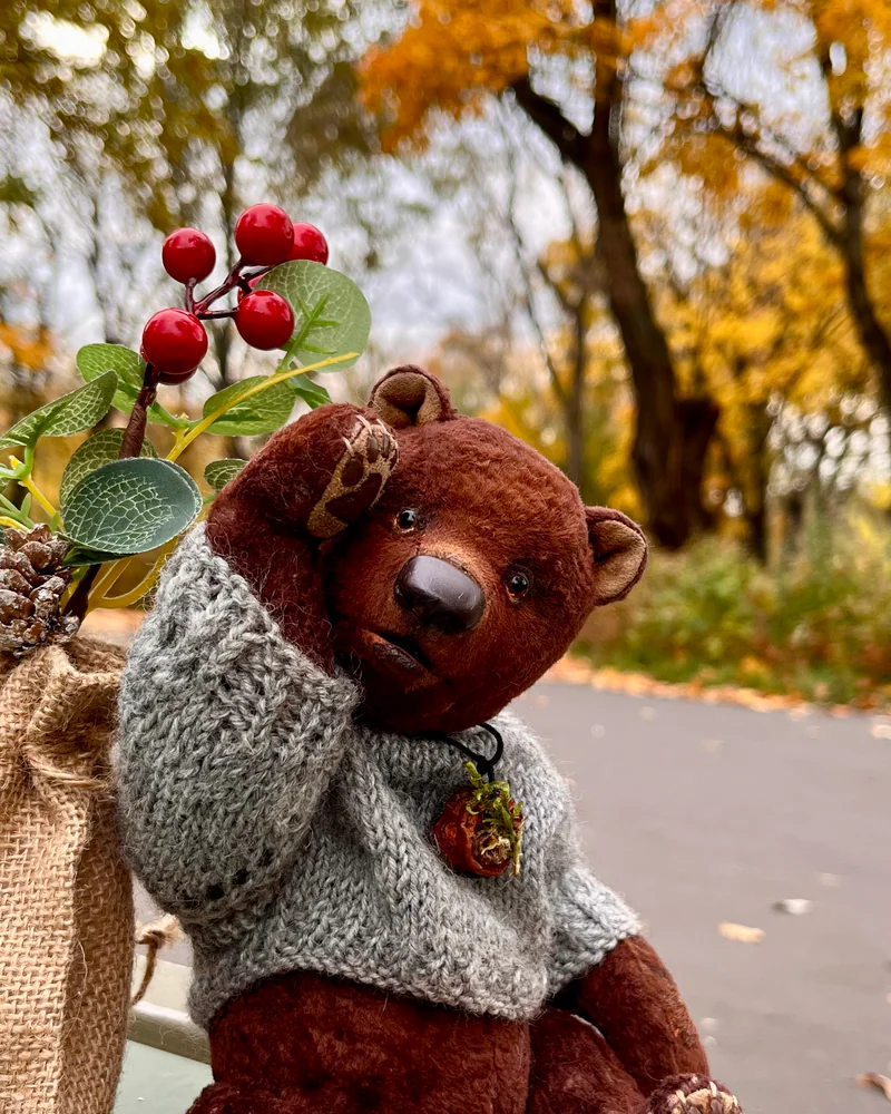 Тедди медведь