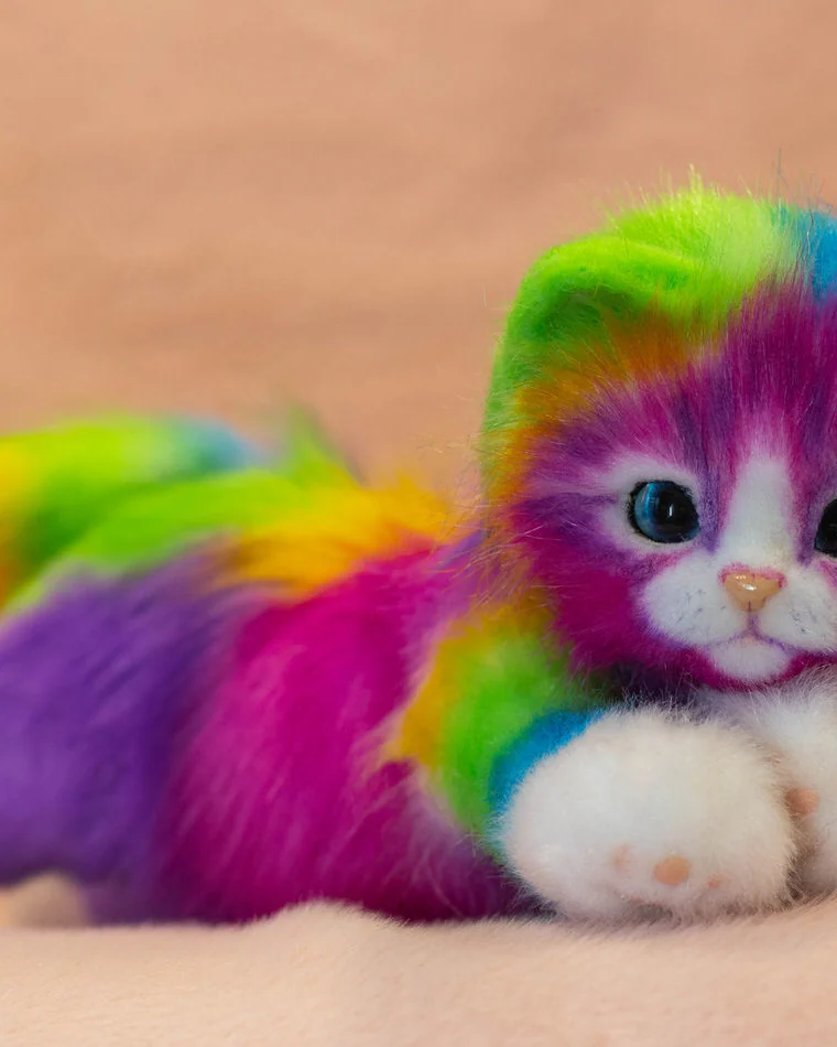 Радужная кошка