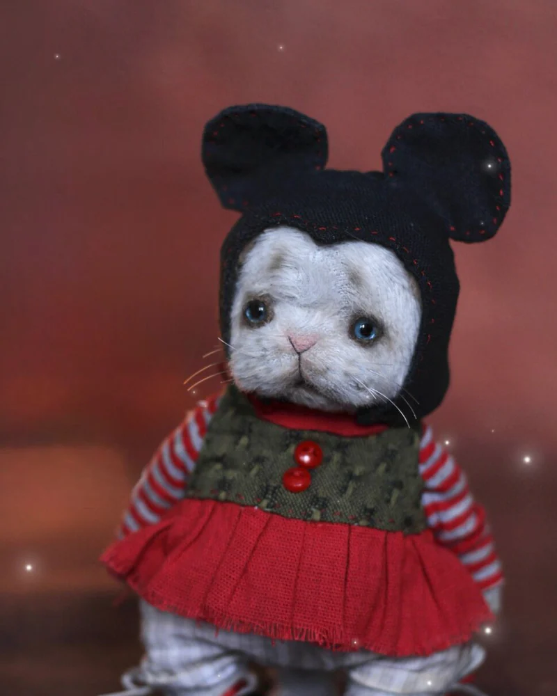 Котенок тедди — Основной