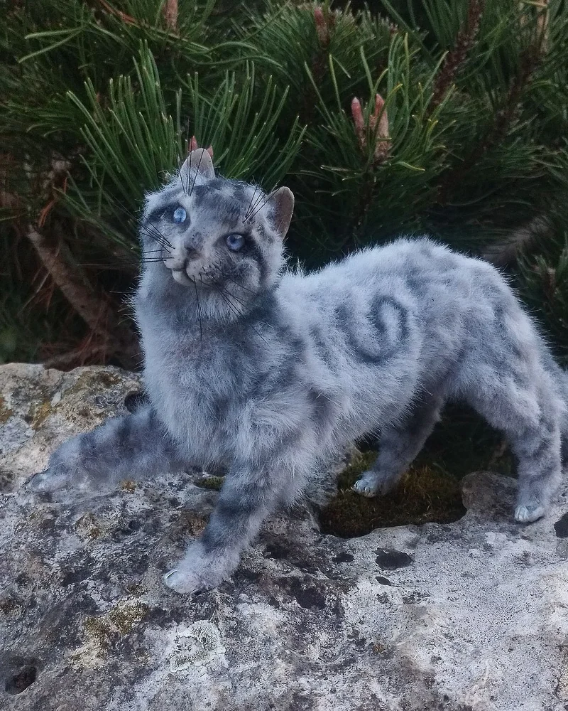 кот голубой шаман Перо Сойки